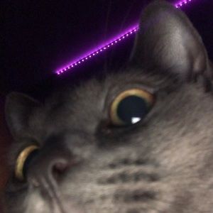 Meet your Posher, Sharee